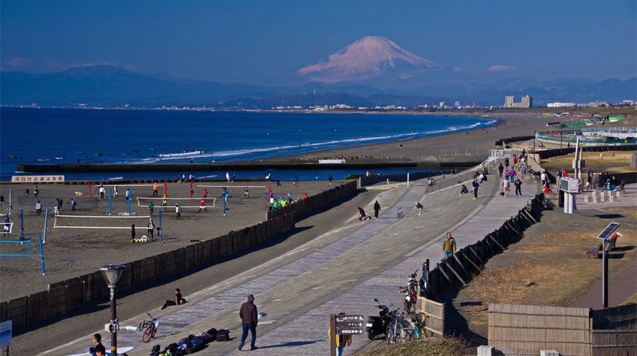 日本鎌倉大佛+江之電+鶴岡八幡宮+江之島+鎌倉大學拼車一日遊