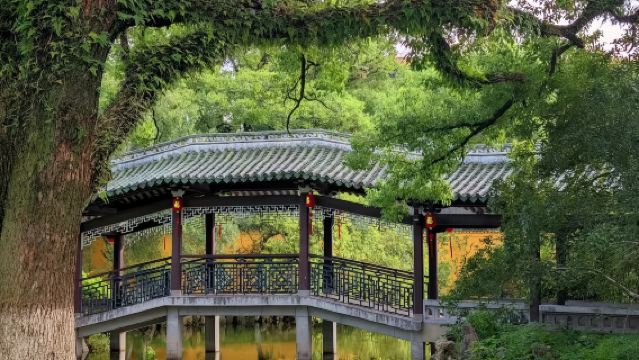 溫州江心嶼【人員導覽服務 可選場次 時長】