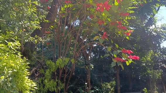 Addis Ababa:Trip with Lake Bishoftu