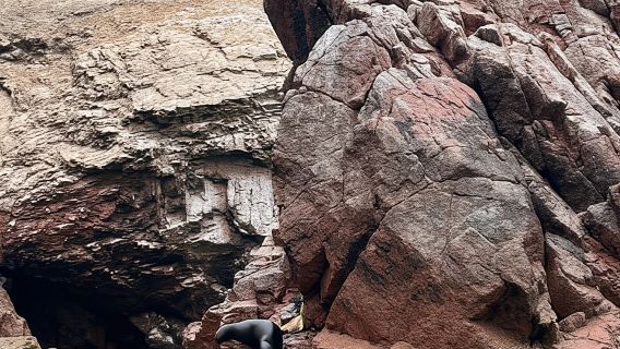 Paracas: A day of adventure in the Ballestas Islands and the reserve
