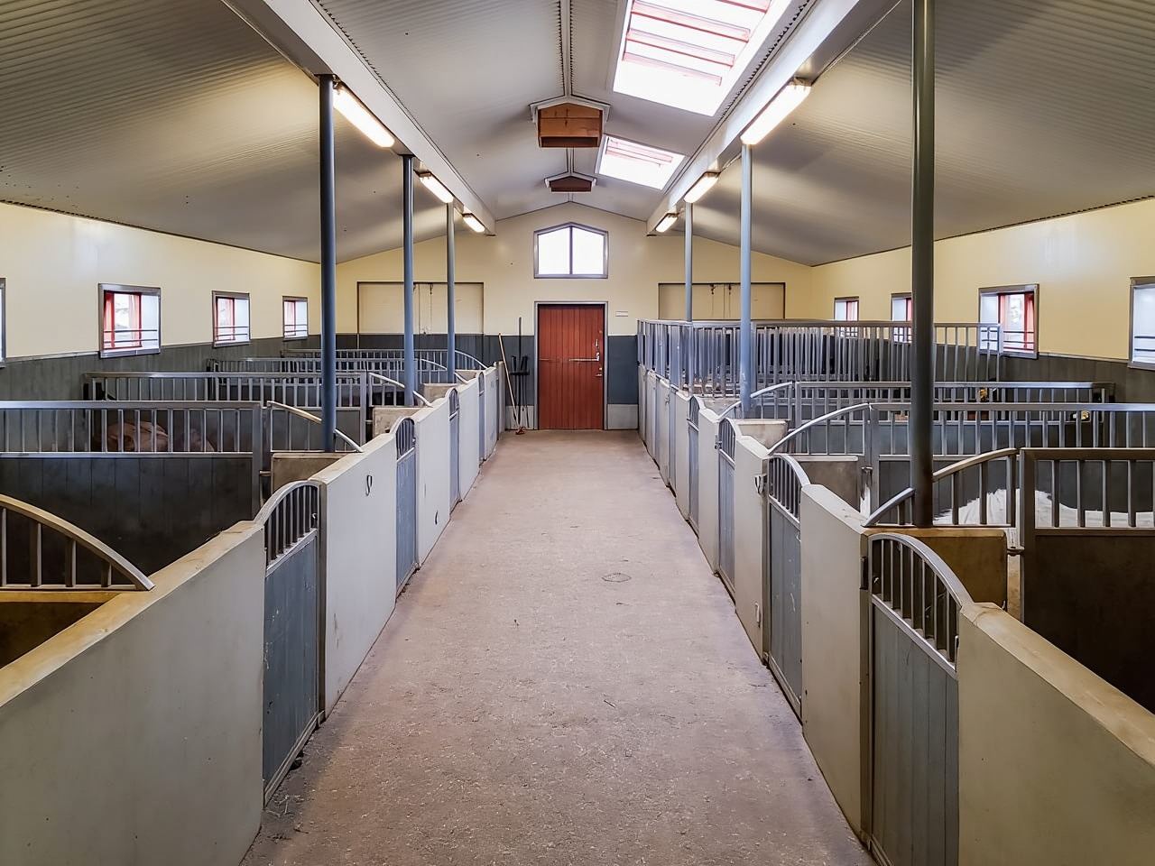 Reykjavik: Rode Lava Paardrijtocht