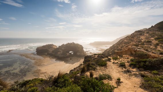 From Melbourne: Mornington Peninsula: Sightseeing Tour