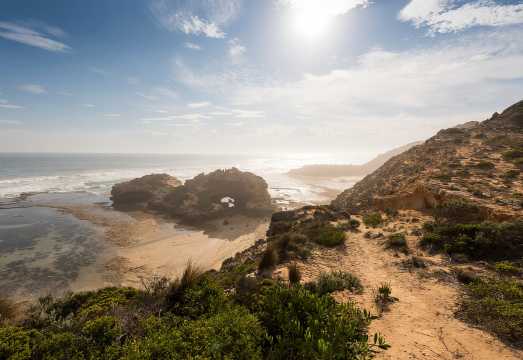 From Melbourne: Mornington Peninsula: Sightseeing Tour AUD 160.41