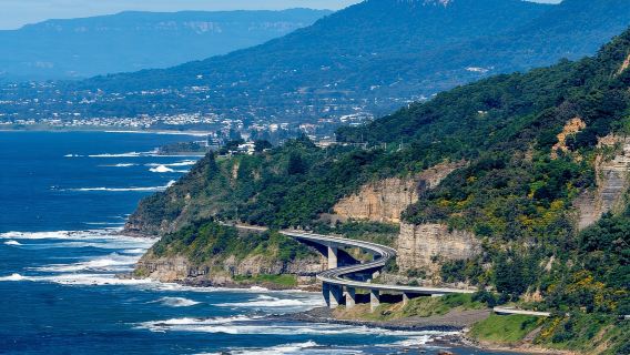 Kiama Blowhole & Sea Cliff Bridge & Wild Wombat 1-day Tour from Sydney with Admission Ticket