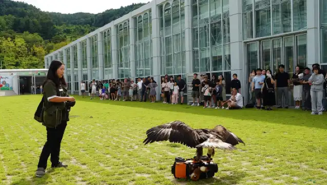 Seoul: Nami Island & Railbike & Begonia Bird Park Day Tour