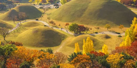 從釜山出發:慶州歷史日遊,探索新羅王朝的迴響