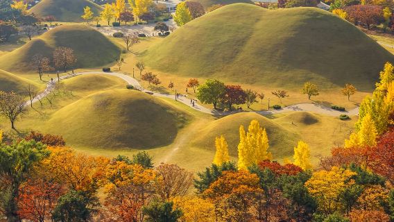 부산 출발: 신라의 메아리 경주 역사 일일 투어