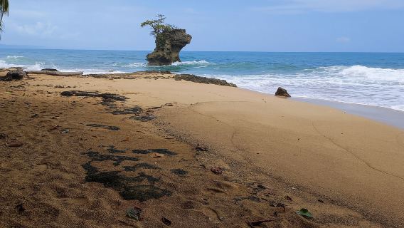 Puerto Viejo Talamanca: Hike through Gandoca Manzanillo Wild Life refuge.