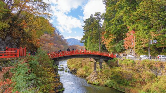 Lawatan Tersuai Nikko dengan Jurupandu Tempatan