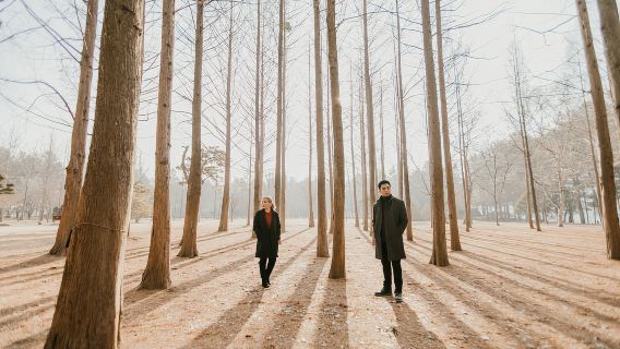 Seul: The Painter Show con Nami Island