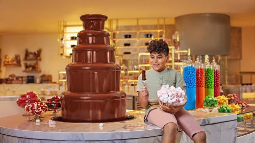 Atlantis The Palm Restaurant Saffron/ Kaleidoscope International Lunch/Dinner Buffet 9