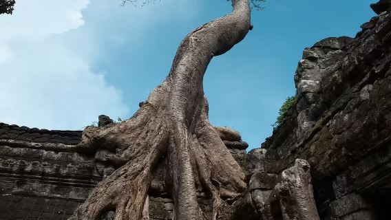 暹粒來回-吳哥小圈包車遊【私人訂製-精緻私家團-中文導遊】