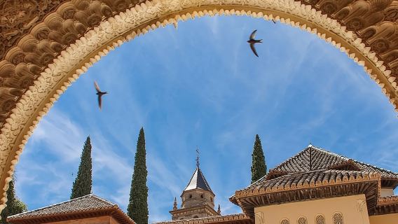 Tây Ban Nha Granada|Tour tham quan Cung điện Alhambra (bao gồm vé vào cổng Cung điện Nasrid)