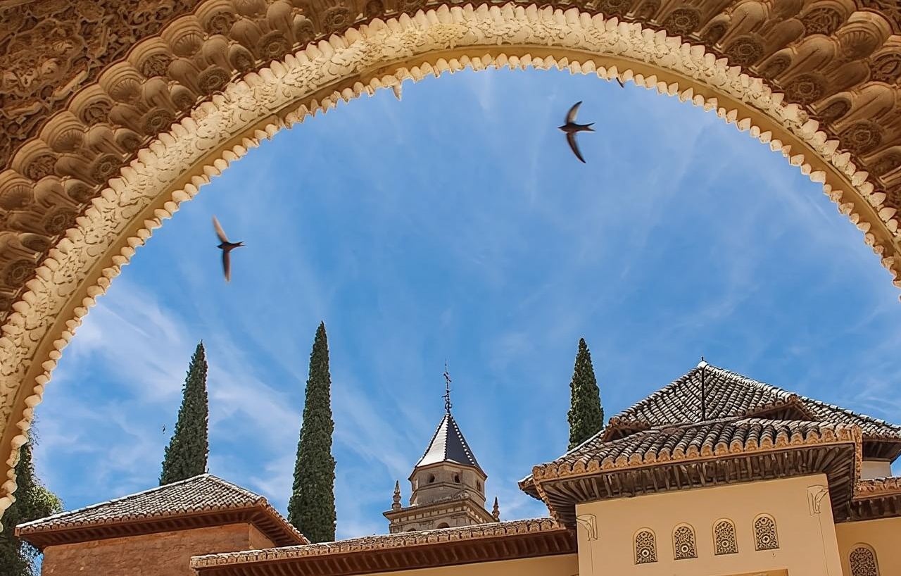 Spagna, Granada|Tour guidato de L'Alhambra (include biglietto d'ingresso ai Palazzi Nasridi)