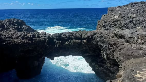 Excursión de un día en Mauricio: Avistamiento de delfines en lancha + servicio de coche privado con conductor al Parque Zoológico Casela