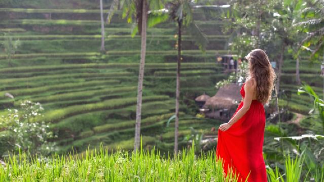 Ubud: Tegalalang Rice Terrace Photos Tour with Swing Ticket