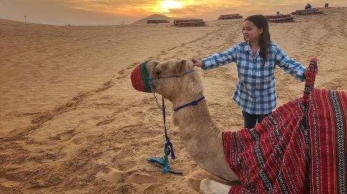 Red Dunes Lahbab Safari with BBQ Dinner and Quad Bike Day Tours 4