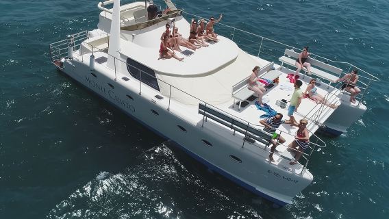 Whale and Dolphin Watching Catamaran with Transfer and Buffet