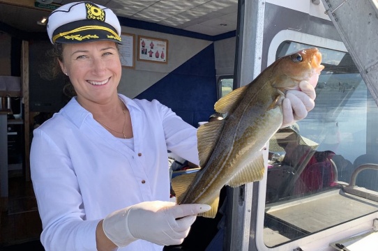 Classic Tromso Fjords Cruise in Norway with Snacks/Optional Fishing