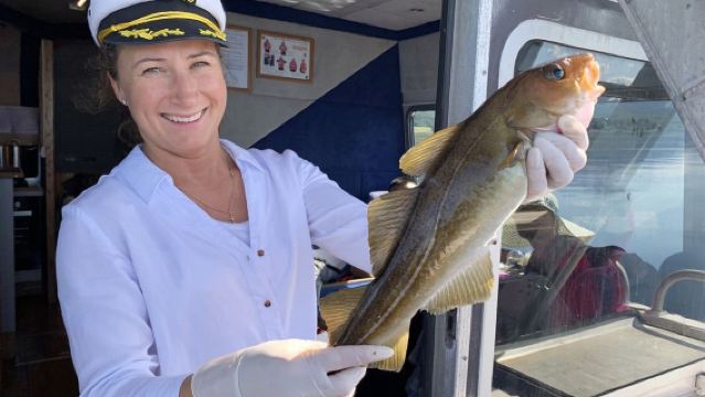 Classic cruise tour of Tromsøfjord, Norway, including snacks/optional fishing.