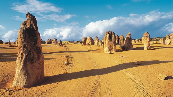 Pinnacles Desert, Koalas and Sandboarding 4WD Day Tour from Perth