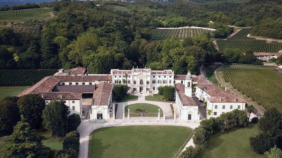 ทัวร์ชมและชิมไวน์พร้อมไกด์ของ Amarone Chateau ใน Valpolicella