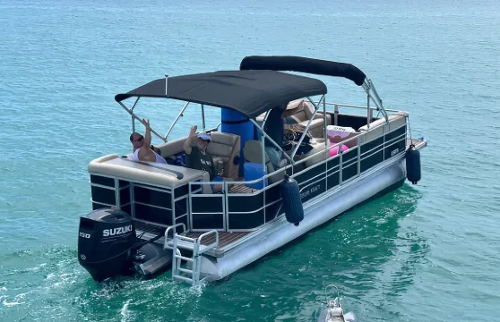 貝殼島2小時私人海豚觀賞及觀光之旅