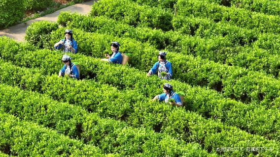 梅州雁南飛景區+葉帥故居一日遊【探訪客家祖地/緬懷先烈之旅】