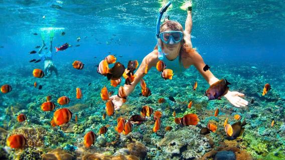 Phu Quoc Luxury Snorkeling Experience: Explore Coral Reefs & Hidden Island Escape