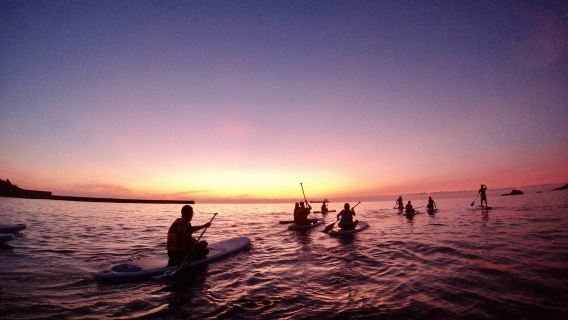 SUP en el condado de Yilan | Experiencia de paddle surf en el secreto marino de la Nariz de Mono en el cabo Dofu de Nanfang'ao | Waterman