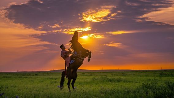 鄂爾多斯草原1日遊【5A級旅行社|帶您玩轉草原】