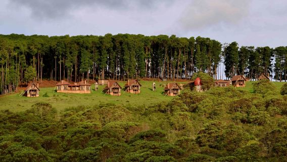 Vatican full-range translation services including guide, private charter, pickup/drop-off translation, photography translation, business translation, medical companion translation, and customized travel itineraries