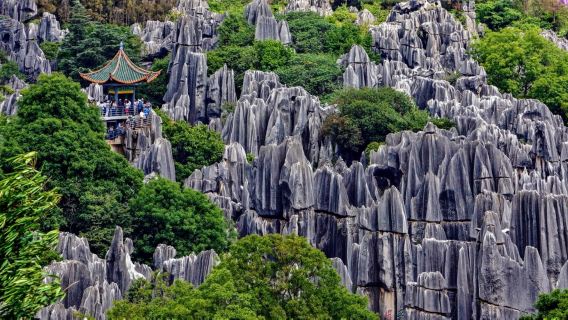 Zone panoramique de la forêt de pierre + Canard rôti de Yiliang + Visite privée de la ville de Kunming