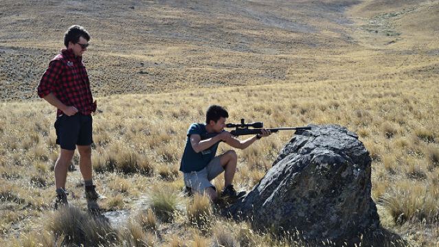 New Zealand Lake Tekapo Perburuan Haiwan Kecil di Ladang Persendirian