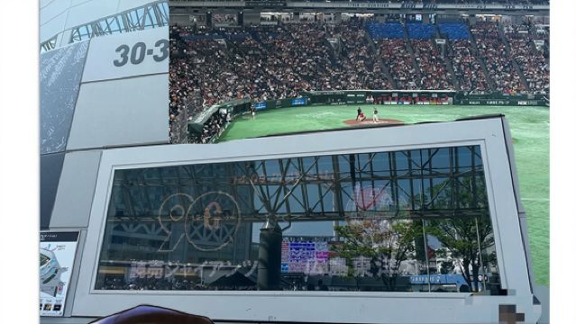 日本大阪一日遊包車【機場-飯店送行李-直送棒球比賽會場】