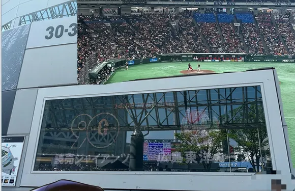 日本大阪一日遊包車【機場-酒店送行李-直送棒球比賽會場】