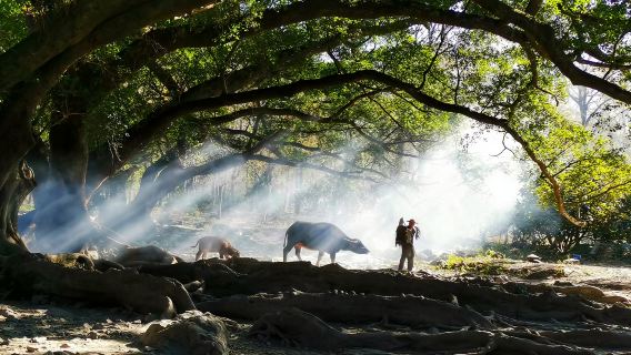Xiapu Yang Jiaxi Rongfeng Park + Dongbi Sunset + Xiaohao Mudflats + Huazhu Village 1-day Tour|Group of 8 people