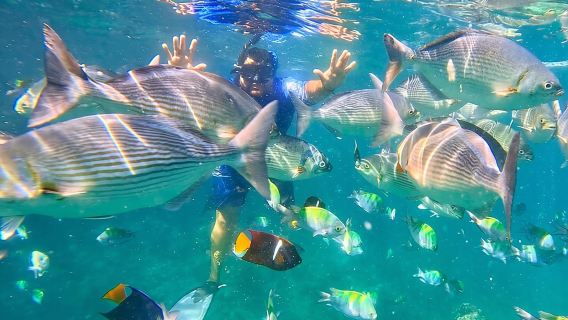 Snorkeling at Los Arcos 5 islands Hidden Beach and Cliff Jumping