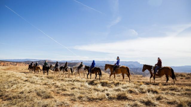 Bryce Canyon: Horseback Ride in the Dixie National Forest