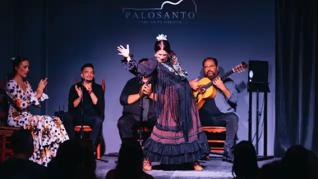 Valencia: Palosanto Flamenco Show Ticket