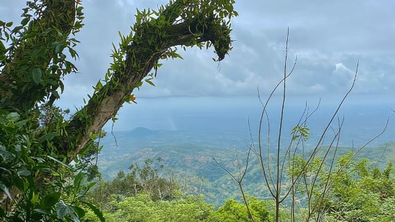 Arusha: Excursión de un día al Monte Meru con almuerzo y traslados