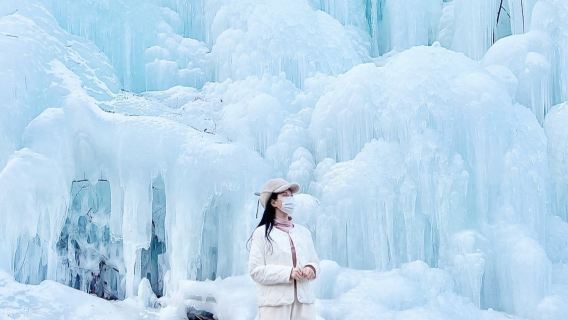 Thung lũng băng Haechi + Đảo Nami + Thế giới lạc đà không bướu + Triển lãm Vườn cây Cheongpung (Xuất phát từ Seoul)