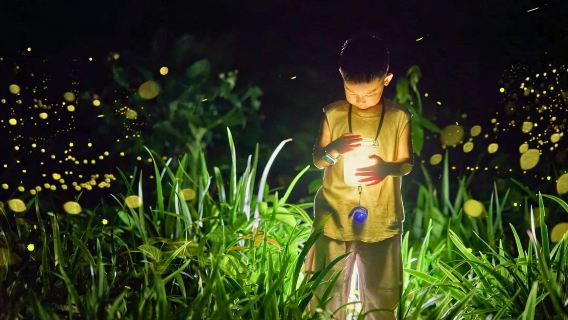 中國科學院西雙版納熱帶植物園一日遊【酒店接送+夜遊螢火星空】