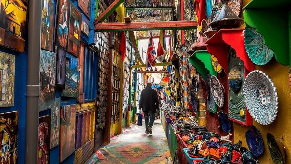 Visite privée à pied de la médina de Fès avec un guide local professionnel