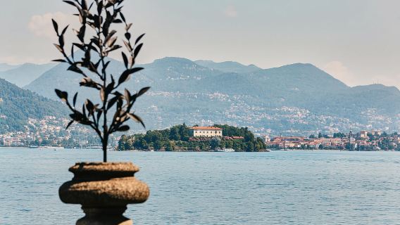 Depuis Stresa : Excursion en bateau sur le lac Majeur et le golfe Borromée