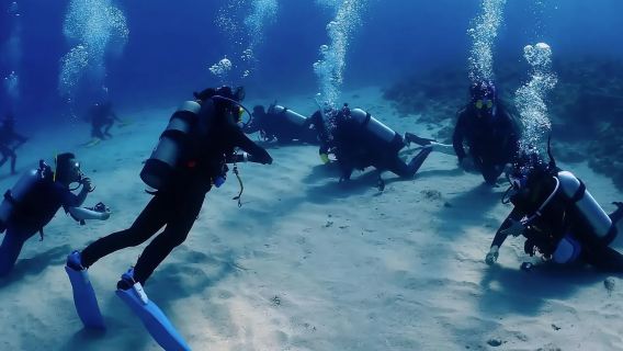 Pingtung Bear Diving Open Water Diver Certification 3-Day PADI Open Water Diver Course (Xiaoliuqiu)