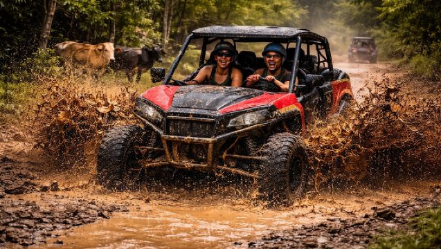 ทัวร์สำรวจป่าด้วยรถบักกี้ Bayahibe Jungle Buggy Expedition