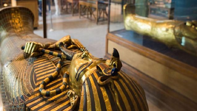 Half Day visit to the Grand Egyptian Museum (GEM)