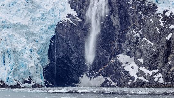 Von Whittier: Glacier Quest Kreuzfahrt mit Mittagessen an Bord