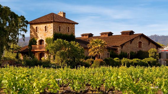 From San Francisco: Day Trip to Napa Valley Reserve Wine Tasting Tour